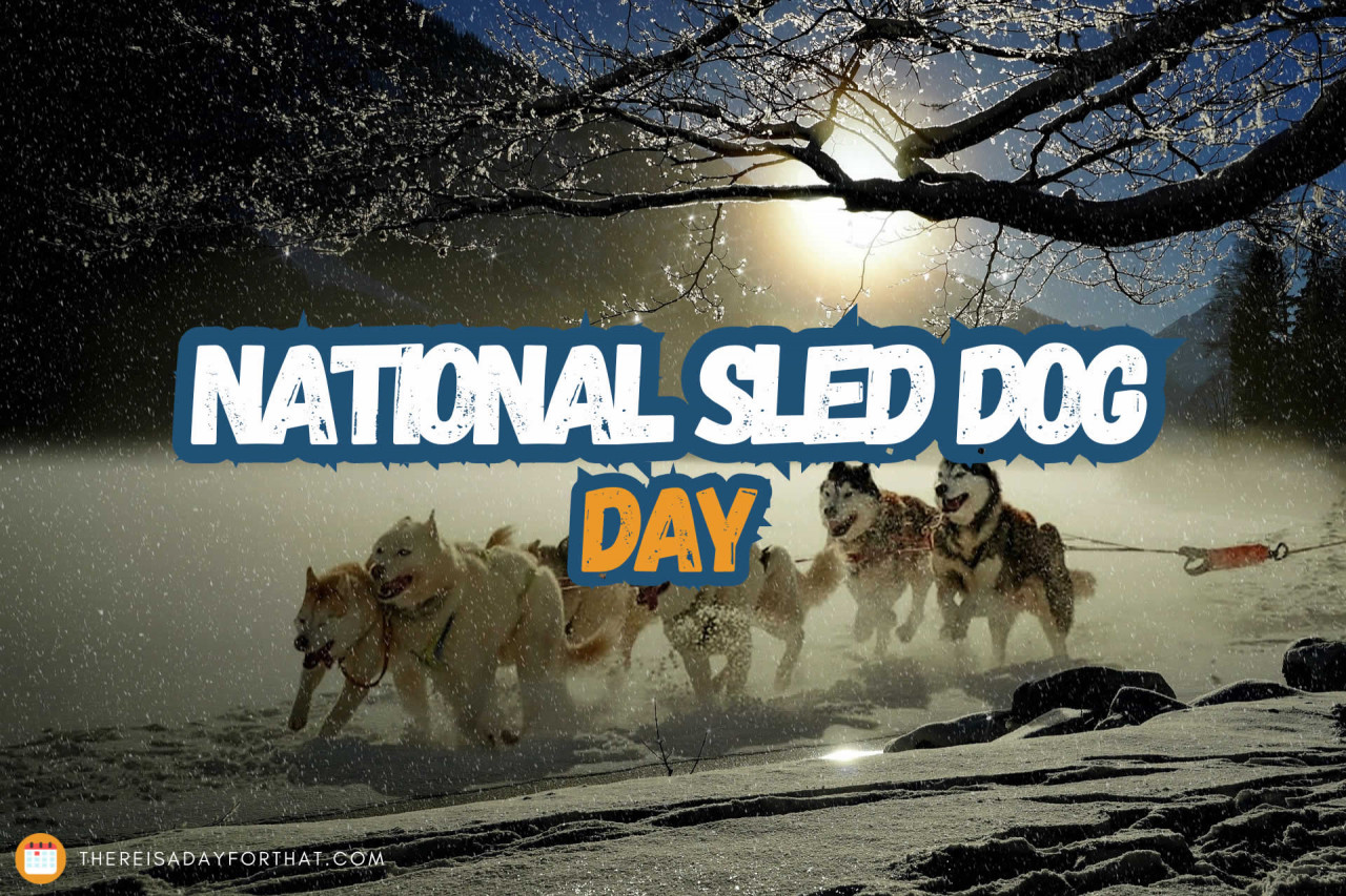 National Sled Dog Day in USA in 2027 | There is a Day for that!