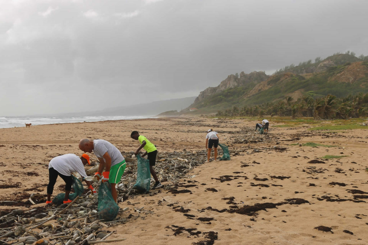 Brasil  World Cleanup Day 2022