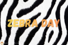 International Zebra Day
