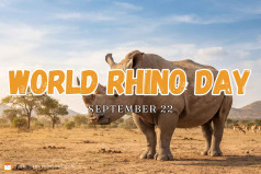 World Rhino Day