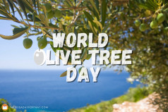 World Olive Tree Day