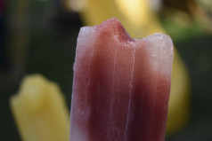 National Blueberry Popsicle Day