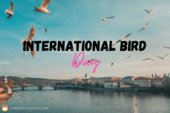 International Bird Day