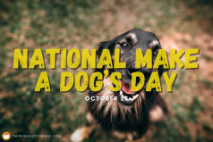 National Make a Dog’s Day