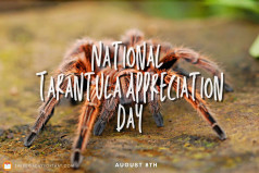 National Tarantula Appreciation Day