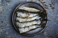 National Sardines Day