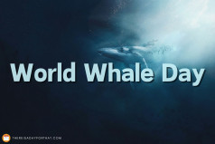 World Whale Day