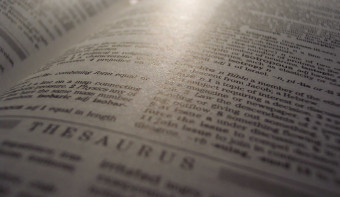 Read more about National Thesaurus Day