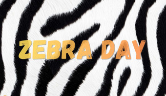 Read more about International Zebra Day