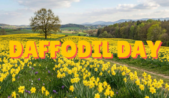 Read more about Daffodil Day