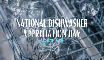 National Dishwasher Appreciation Day