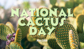 National Cactus Day