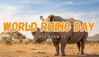 Read more about World Rhino Day