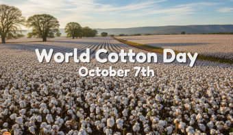 Read more about World Cotton Day
