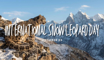 Read more about International Snow Leopard Day