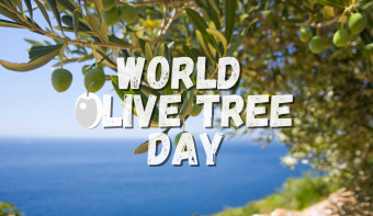 Read more about World Olive Tree Day