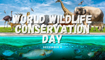 Read more about World Wildlife Conservation Day