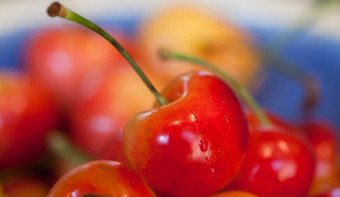 Read more about National Rainier Cherry Day