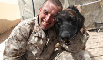 Read more about National K9 Veterans Day