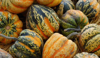 Read more about National Acorn Squash Day