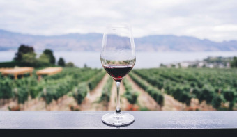 Read more about World Wine Tourism Day
