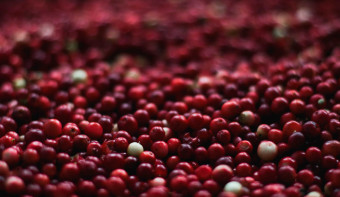 Read more about National Eat a Cranberry Day