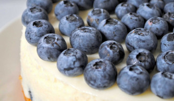 Read more about National Blueberry Cheesecake Day