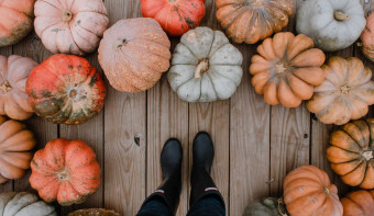 Read more about National Pumpkin Day