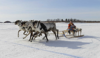 Read more about Reindeer Herders' Day