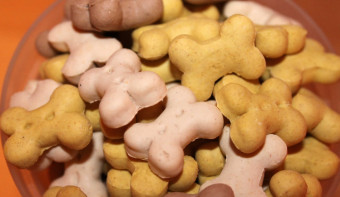 Read more about National Dog Biscuit Day