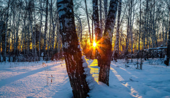 Read more about Winter Solstice