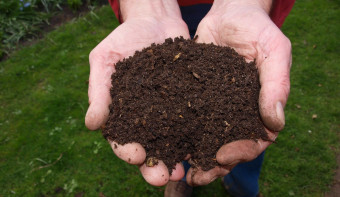 Read more about National Learn About Composting Day