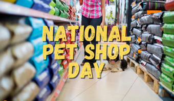 Read more about National Pet Shop Day