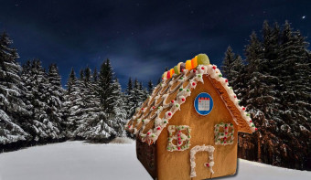 Read more about Gingerbread House Day