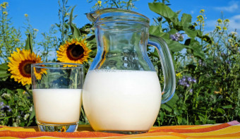 Read more about National Milk Day