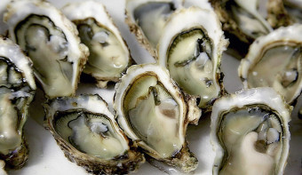 National Oyster Day