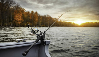 Read more about National Go Fishing Day