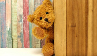 Read more about National Bring Your Teddy Bear to Work/School Day
