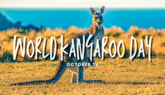 Read more about World Kangaroo Day