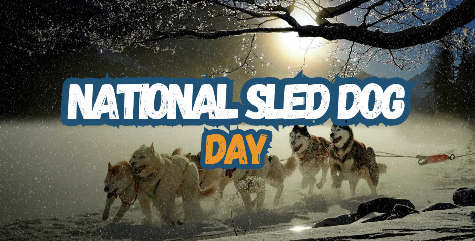 National Sled Dog Day in USA in 2026