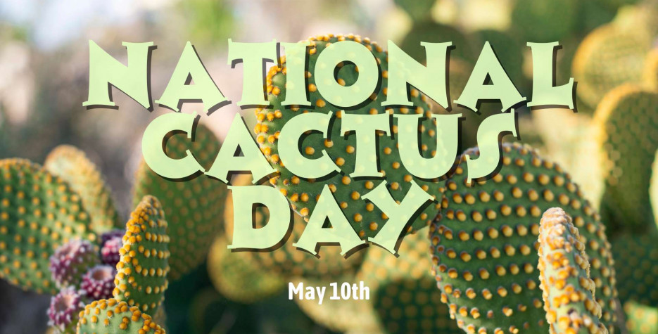 National Cactus Day in USA in 2026