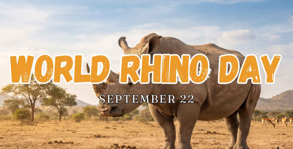 World Rhino Day around the world in 2026