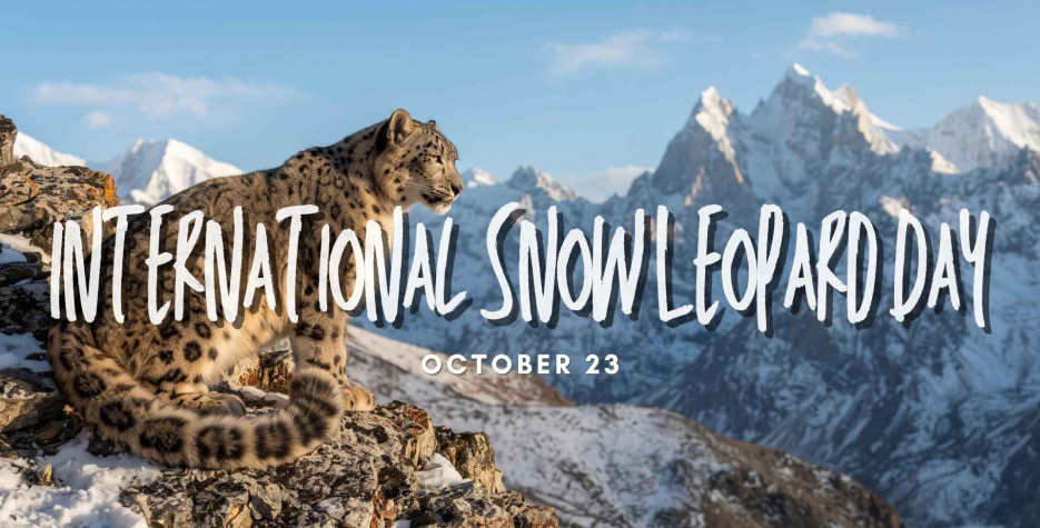 International Snow Leopard Day around the world in 2026