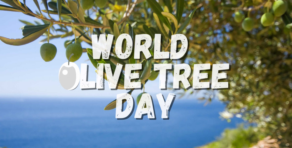 World Olive Tree Day around the world in 2025