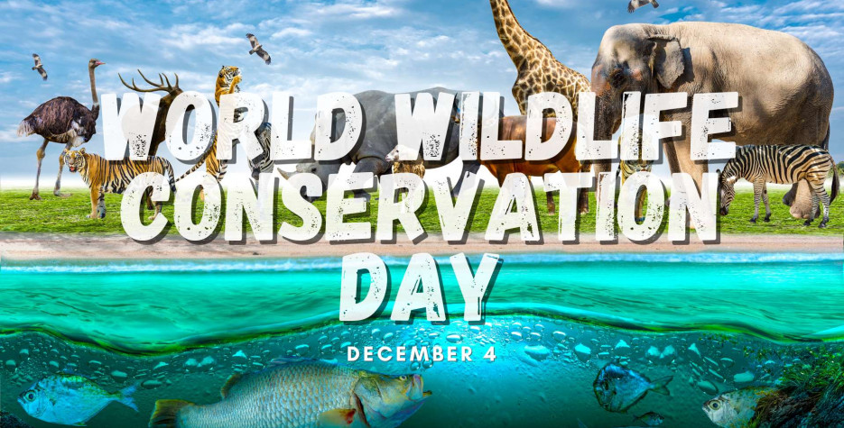 World Wildlife Conservation Day around the world in 2025