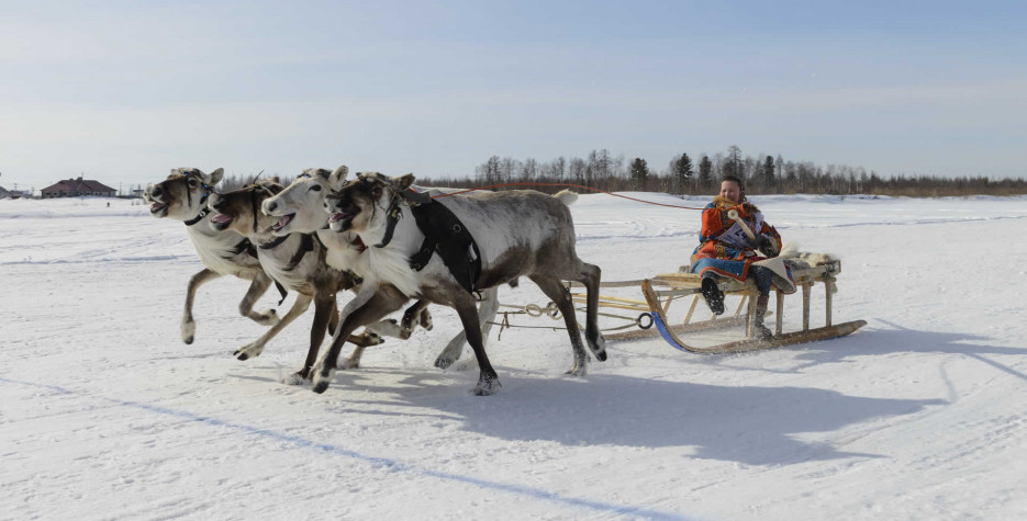 Reindeer Herders' Day in Russia in 2023