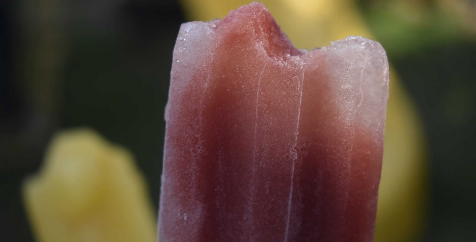 National Grape Popsicle Day in USA in 2023