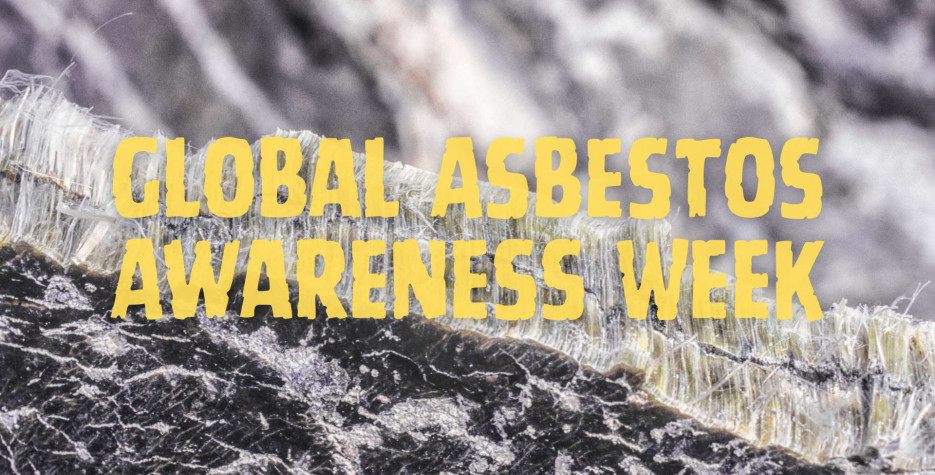 Global Asbestos Awareness Week around the world in 2026