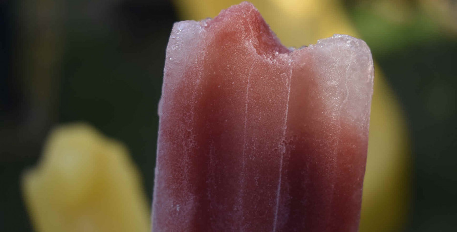 National Blueberry Popsicle Day in USA in 2023