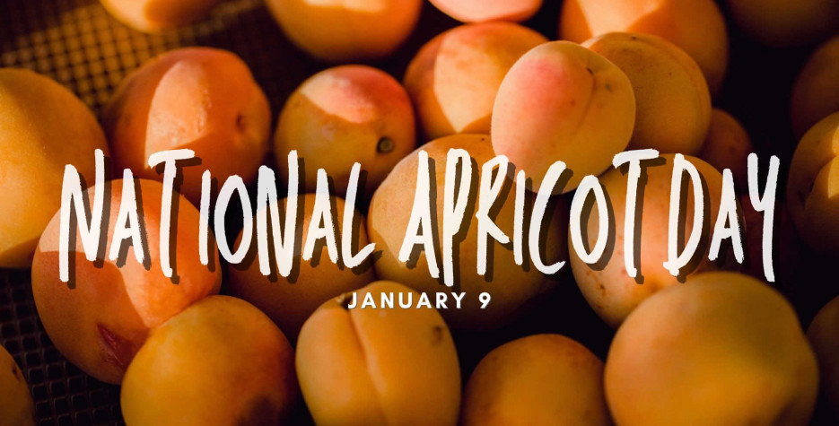 National Apricot Day in USA in 2025